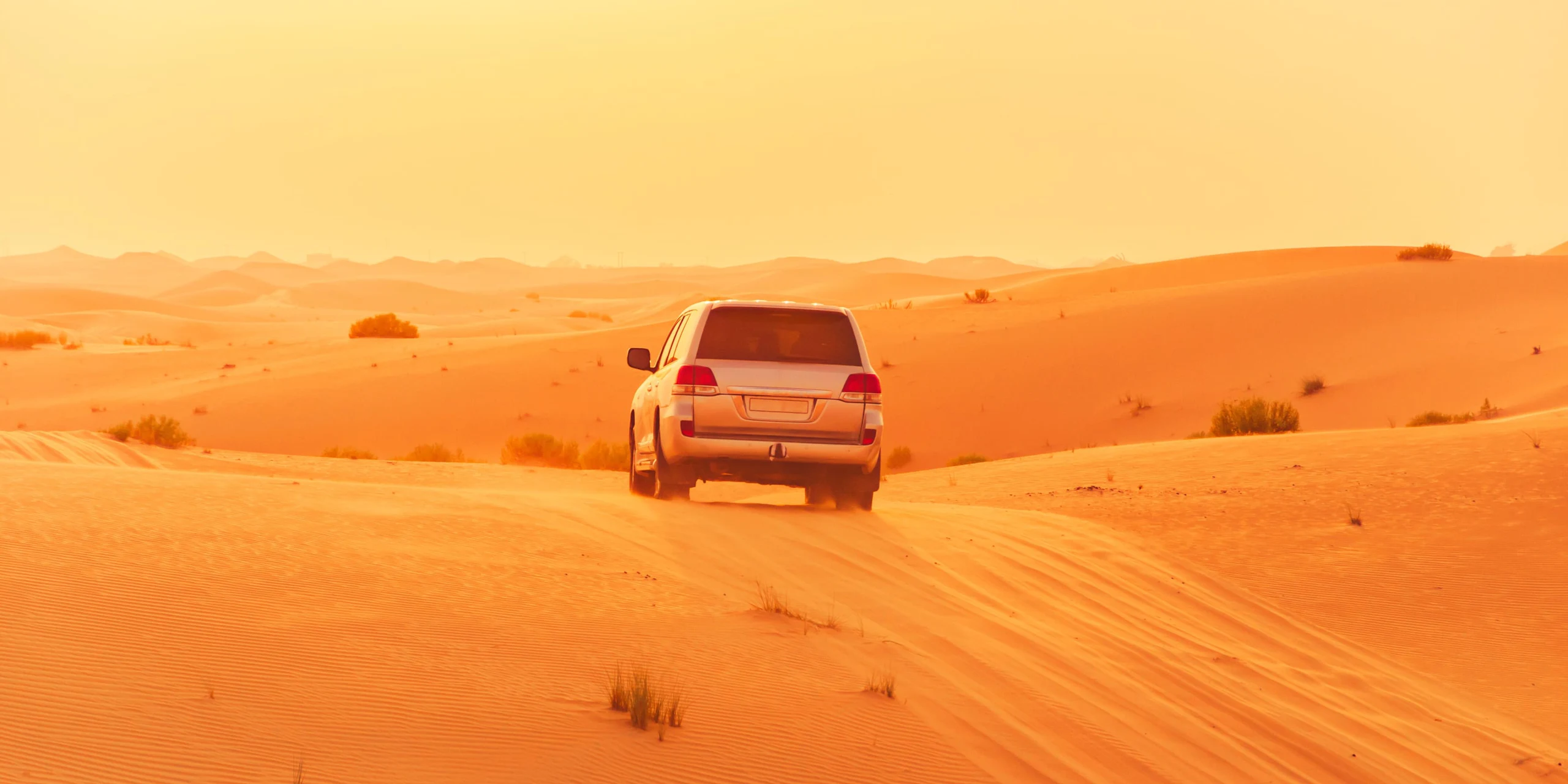 DESIERTO-DUBAI